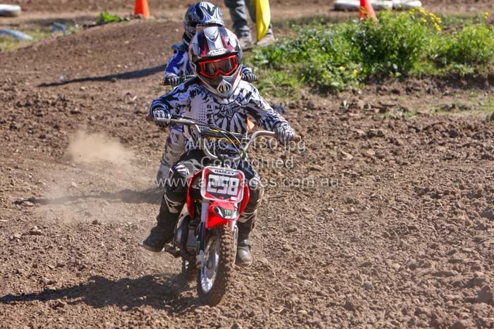 678x444 pixels (99K)